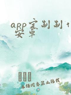 app定制制作 安卓