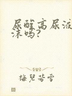 尿酸高尿液有泡沫吗?