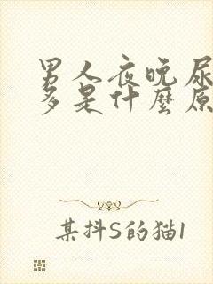 男人夜晚尿频尿多是什么原因