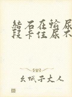 结石在输尿管下段卡住尿不出来怎么办