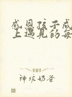 感恩孩子成长路上遇见的每一位老师