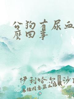 公狗有尿血是怎么回事