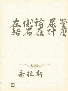 左侧输尿管下段结石在什么位置