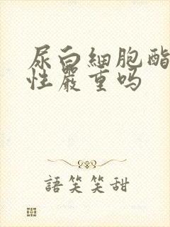 尿白细胞酯酶阳性严重吗