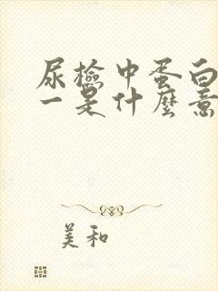 尿检中蛋白质十一是什么意思?