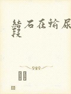 结石在输尿管下段