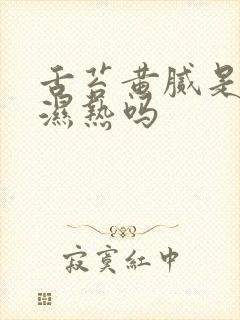 舌苔黄腻是脾胃湿热吗