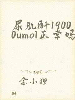 尿肌酐19000umol正常吗