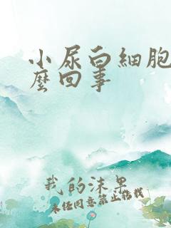 小尿白细胞高怎么回事