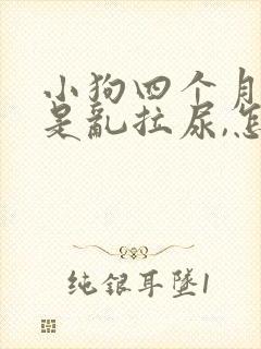 小狗四个月了还是乱拉尿,怎么治