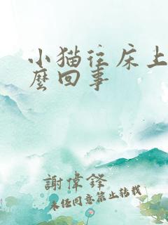 小猫往床上尿怎么回事