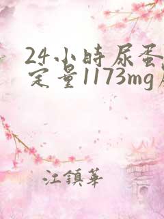 24小时尿蛋白定量1173mg严不严重