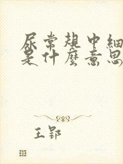 尿常规中细菌高是什么意思