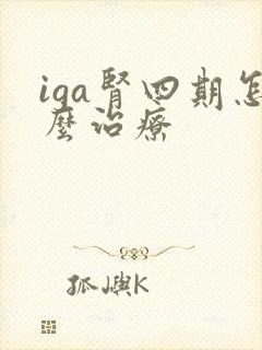 iga肾四期怎么治疗