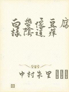 白带像豆腐渣一样阴道痒