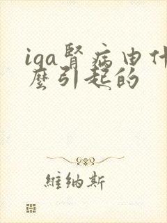 iga肾病由什么引起的