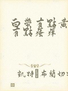 白带有点黄外阴有点瘙痒