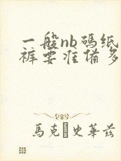 一般nb码纸尿裤要准备多少片呢