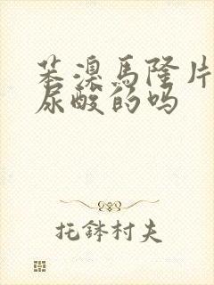 苯溴马隆片是降尿酸的吗