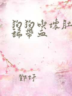 狗狗吃坏肚子拉稀带血