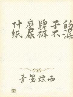 什么牌子的成人纸尿裤不漏尿