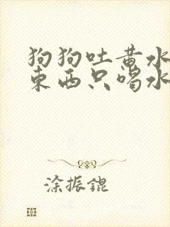 狗狗吐黄水不吃东西只喝水