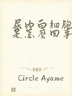 尿内白细胞增多是怎么回事