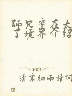 师兄实在太稳健了境界介绍