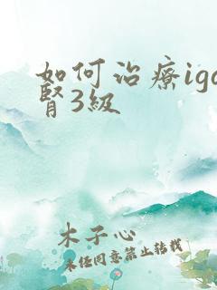 如何治疗iga肾3级