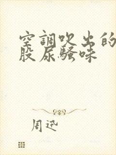 空调吹出的风有股尿骚味