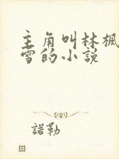 主角叫林枫苏晴雪的小说