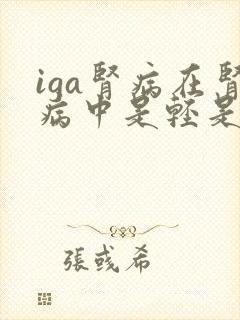 iga肾病在肾病中是轻是重