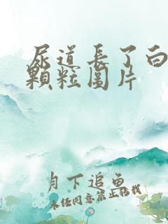 尿道长了白色的颗粒图片