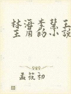 林海李慧王心莲主角的小说