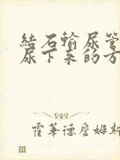 结石输尿管末端尿下来的方法