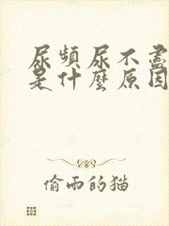 尿频尿不尽到底是什么原因