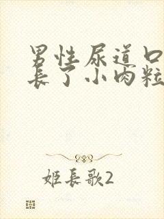 男性尿道口突然长了小肉粒