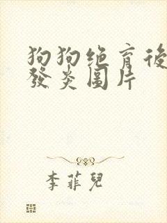 狗狗绝育后伤口发炎图片