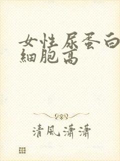 女性尿蛋白和白细胞高