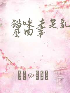 猫咪老是乱尿怎么回事