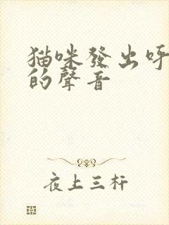 猫咪发出呼噜噜的声音