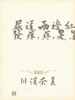 尿道两边红肿,发痒,疼,是怎么回事