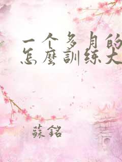 一个多月的狗狗怎么训练大小便