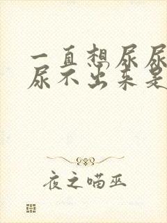 一直想尿尿,又尿不出来是什么原因