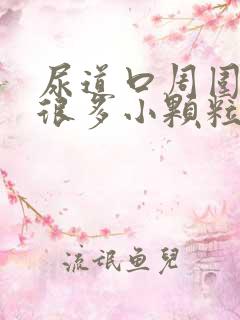 尿道口周围长了很多小颗粒