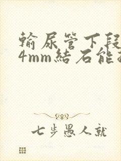 输尿管下段0.4mm结石能排出吗