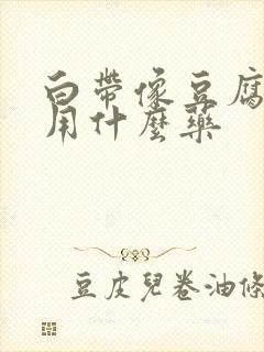 白带像豆腐渣状用什么药