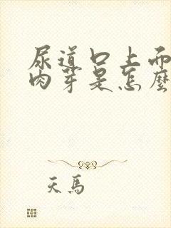 尿道口上面长小肉芽是怎么回事