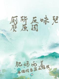 厕所反味儿是什么原因