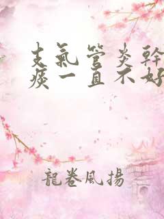 支气管炎干咳无痰一直不好